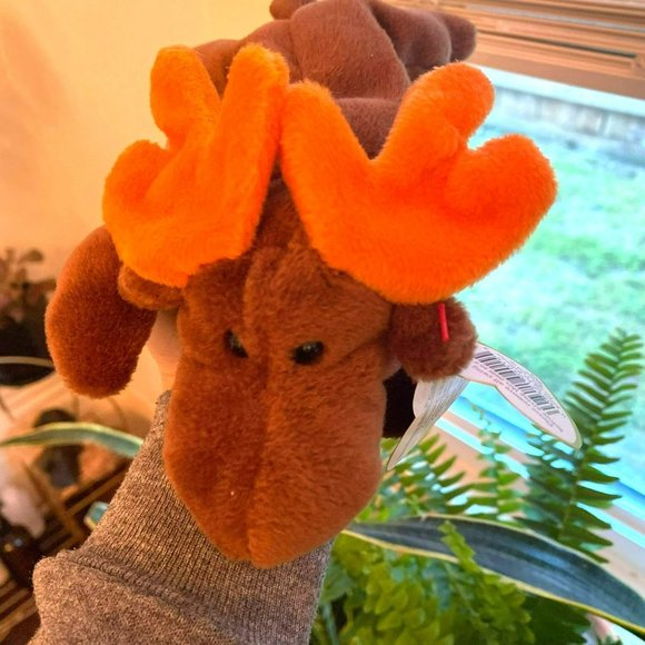 Rare Ty Beanie Baby -  Chocolate the Moose - Style Number #04015 - Picture 2 of 8
